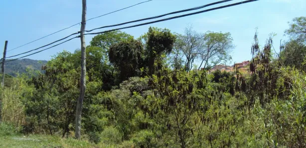 Terreno / Lote / Condomínio para venda ou aluguel, 851m² no Conjunto Industrial Belville, Itupeva