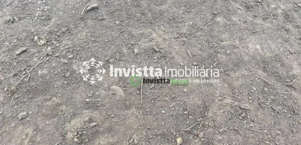 Fazenda / Sítio / Chácara à venda, 1040m² no Centro, Lagoa da Confusão