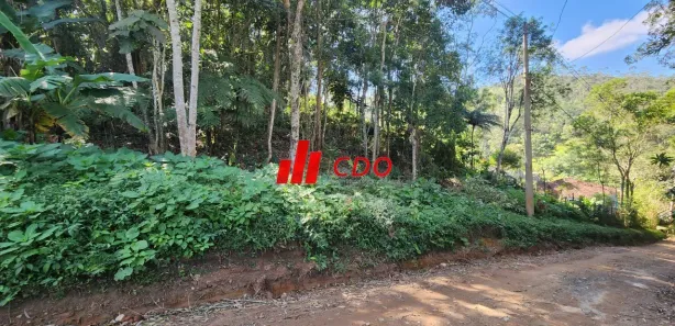 Terreno / Lote / Condomínio à venda, 2554m² no Fazenda Vitoria, São Lourenço da Serra