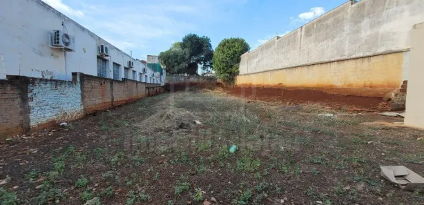 Terreno / Lote / Condomínio para alugar, 700m² no Chácara Braz Miraglia, Jaú