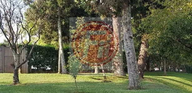 Fazenda / Sítio / Chácara com 4 Quartos à venda, 400m² no Canto das Águas, 