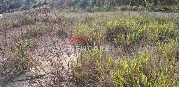 Terreno / Lote / Condomínio à venda, 200m² no Santa Maria, Vespasiano