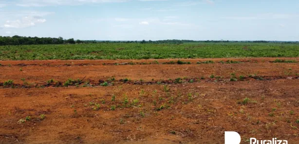 Fazenda / Sítio / Chácara à venda, 832m² no , Cristalândia