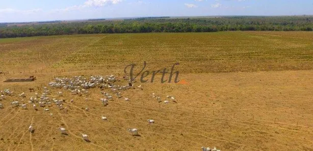 com 1 Quarto à venda, 305m² no , Guaraí