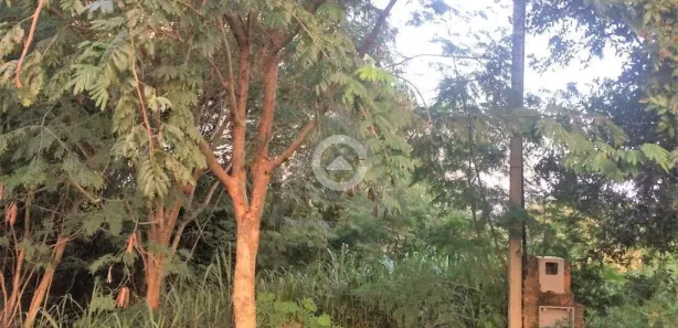 Terreno / Lote / Condomínio à venda, 700m² no Caminhos de San Conrado (Sousas), Campinas