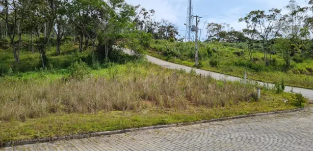 Terreno / Lote / Condomínio à venda, 441m² no , São Pedro de Alcântara