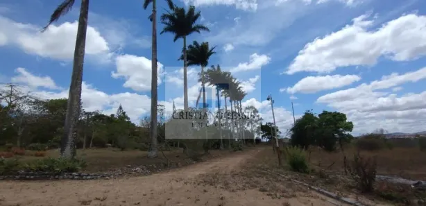 Fazenda / Sítio / Chácara com 6 Quartos à venda, 296000m² no Centro, Gravatá