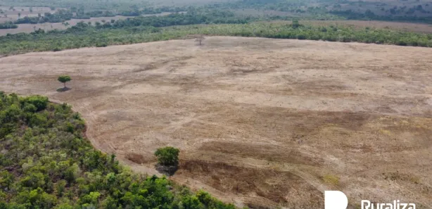 Fazenda / Sítio / Chácara à venda, 348m² no Setor Central, Divinópolis do Tocantins