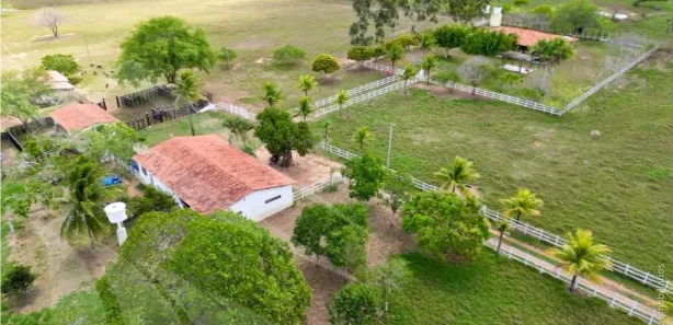 Fazenda / Sítio / Chácara à venda, 150000m² no , Feira Nova