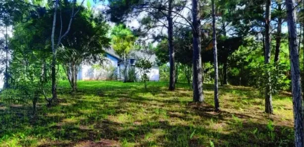 Terreno / Lote / Condomínio com 1 Quarto à venda, 2414m² no , Balsa Nova