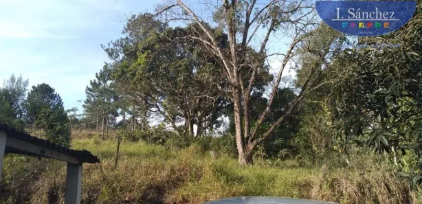 Fazenda / Sítio / Chácara com 2 Quartos à venda, 3000m² no Jardim Rio Negro, Itaquaquecetuba