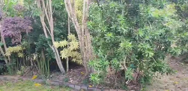 Fazenda / Sítio / Chácara com 5 Quartos à venda, 50000m² no Gravatá Centro, Gravatá