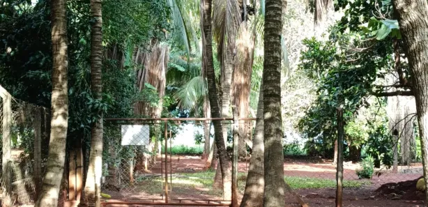 Fazenda / Sítio / Chácara com 4 Quartos à venda, 236m² no Alvorada do Sul, Alvorada do Sul