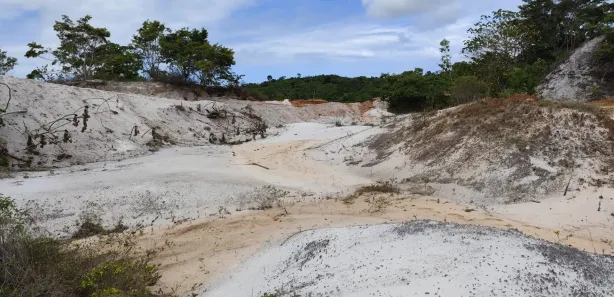 Terreno / Lote / Condomínio à venda, 1000m² no Itacimirim (Monte Gordo), Camaçari