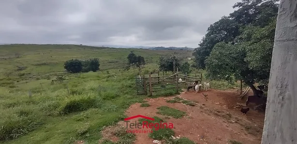 Fazenda / Sítio / Chácara com 3 Quartos à venda, 20000m² no Boa Vista, Caçapava