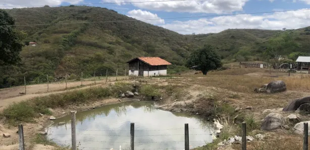 Fazenda / Sítio / Chácara com 3 Quartos à venda, 160000m² no Passira, Passira