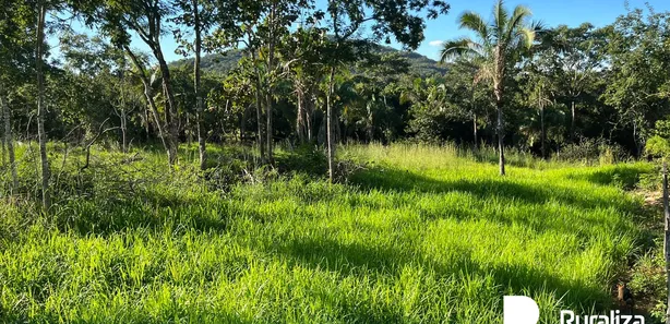 Fazenda / Sítio / Chácara à venda, 137m² no Setor Central, Gurupi