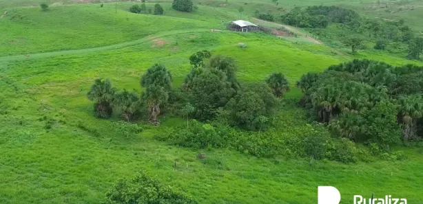 Fazenda / Sítio / Chácara à venda, 416m² no , Bernardo Sayão