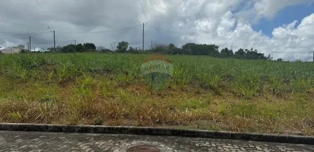 Terreno / Lote / Condomínio à venda, 240m² no , Itamaraju