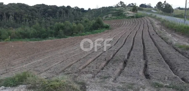 Fazenda / Sítio / Chácara com 1 Quarto à venda, 250m² no Ibiúna, Ibiúna