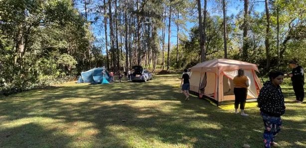Fazenda / Sítio / Chácara com 4 Quartos para alugar, 22000m² no Centro Cívico, Mogi das Cruzes