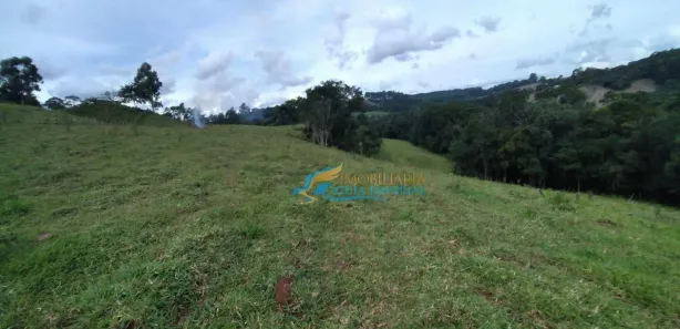 Fazenda / Sítio / Chácara com 3 Quartos à venda, 96800m² no , Guaraniaçu