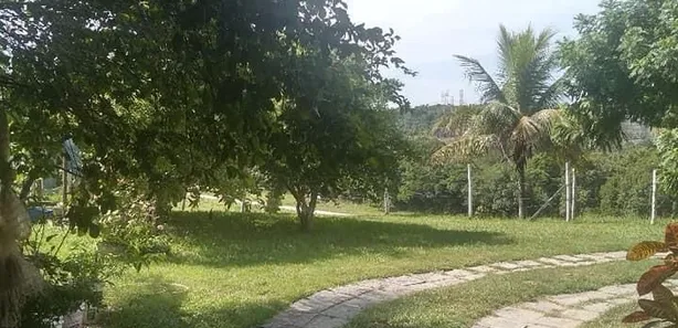 Fazenda / Sítio / Chácara com 7 Quartos à venda, 70000m² no Mantiquira, Duque de Caxias