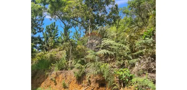 Terreno / Lote / Condomínio à venda, 5030m² no Cuiabá, Petrópolis