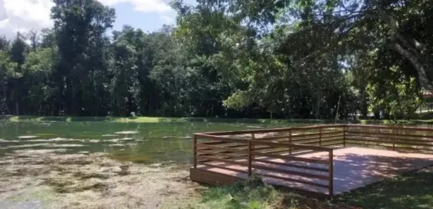 Casa de Condomínio com 1 Quarto à venda, 268m² no Rosa de Leiria Condomínio Horizontal, Goianira