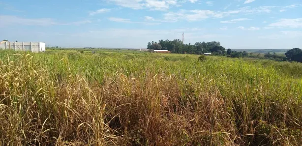 à venda, 104000m² no Jardim Nova Limeira, Limeira