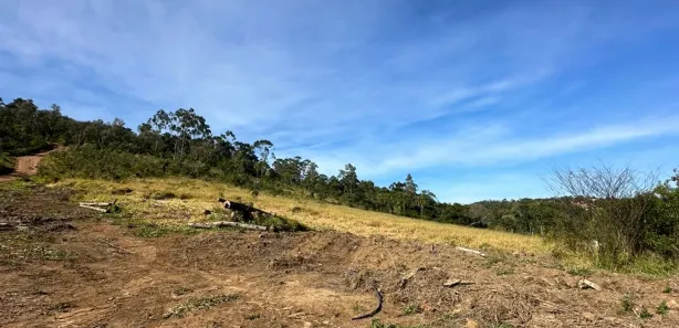 Cobertura com 4 Quartos à venda, 1000m² no Saboó, São Roque
