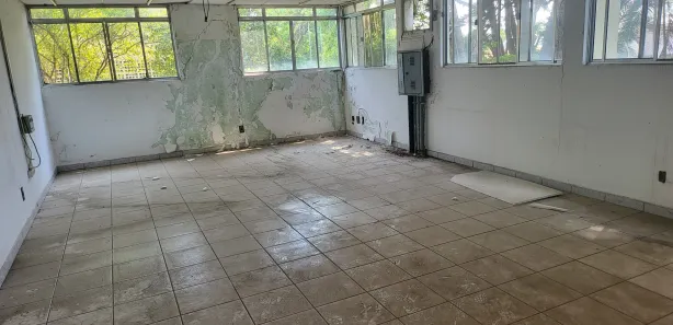 Galpão / Depósito / Armazém para alugar, 1000m² no Triângulo, Pindamonhangaba