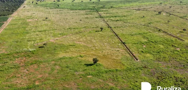 Fazenda / Sítio / Chácara à venda, 503m² no , Pium