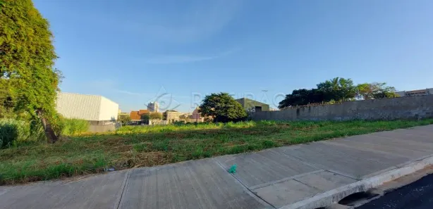 Terreno / Lote / Condomínio para alugar, 370m² no Alto da Boa Vista, Ribeirão Preto