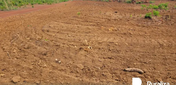 Fazenda / Sítio / Chácara à venda, 1480m² no , Cristalândia