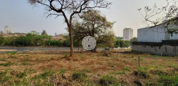 Terreno / Lote / Condomínio para alugar, 370m² no Alto da Boa Vista, Ribeirão Preto