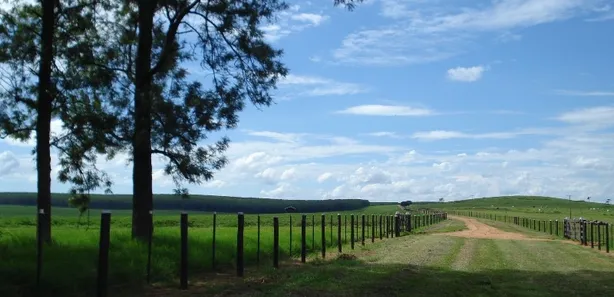 Fazenda / Sítio / Chácara com 3 Quartos à venda, 75m² no , Pompéia