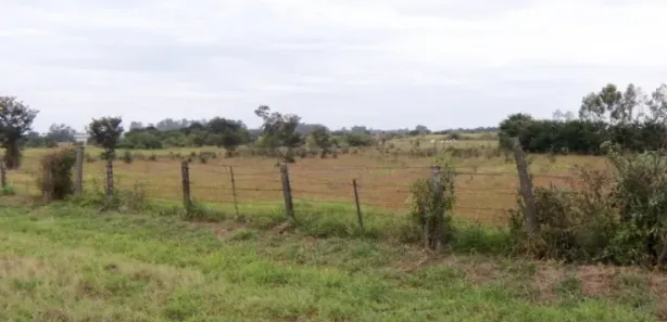 Terreno / Lote Comercial à venda, 73000m² no Maristela, Laranjal Paulista