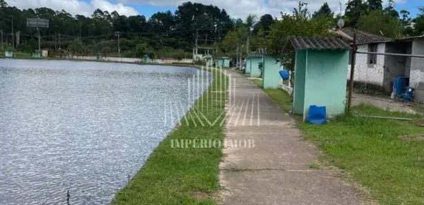 Loja / Salão / Ponto Comercial com 10 Quartos à venda, 24000m² no Juca Rocha (Mailasqui), São Roque