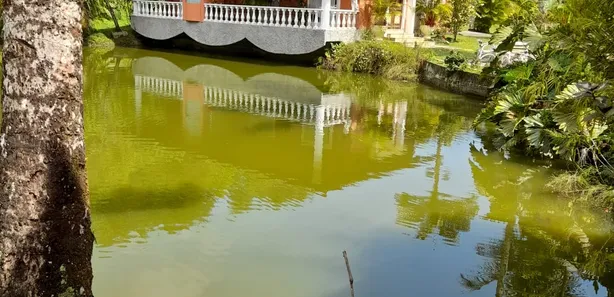 Fazenda / Sítio / Chácara com 4 Quartos à venda, 220000m² no Cantagalo, Guapimirim