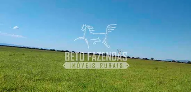 Fazenda / Sítio / Chácara à venda, 48400000m² no Centro, Formosa