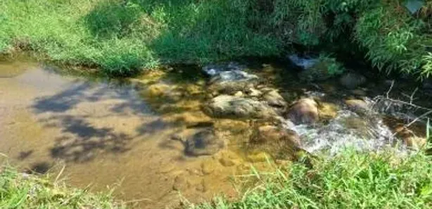 Fazenda / Sítio / Chácara com 3 Quartos à venda, 30000m² no Olaria, Nova Friburgo