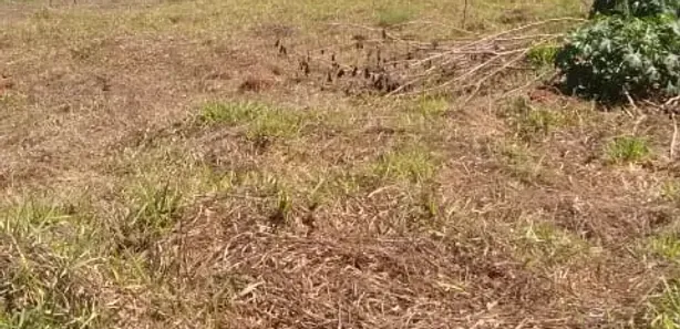 Terreno / Lote / Condomínio à venda, 1007m² no , Capim Branco