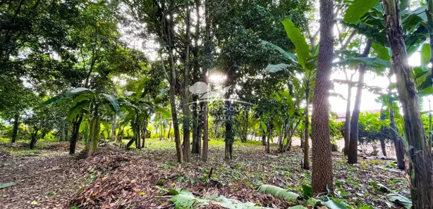 Terreno / Lote / Condomínio à venda, 1000m² no Aldeia dos Camarás, Camaragibe