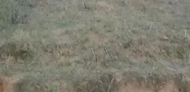 Terreno / Lote / Condomínio à venda, 250m² no Morro do Milagre, São Pedro da Aldeia