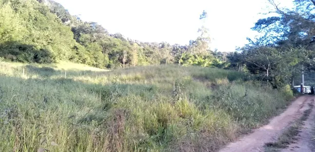 Fazenda / Sítio / Chácara com 1 Quarto à venda, 4000m² no Área Rural de Viçosa, Viçosa