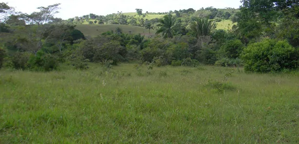 Terreno / Lote / Condomínio à venda, 291666m² no , Simões Filho