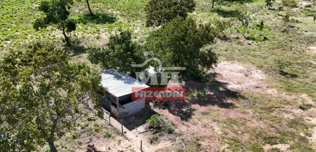Fazenda / Sítio / Chácara à venda, 500m² no Setor Central, Ponte Alta do Tocantins