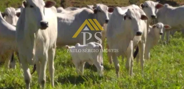 Fazenda / Sítio / Chácara com 3 Quartos à venda, 847000m² no , Rio Bonito