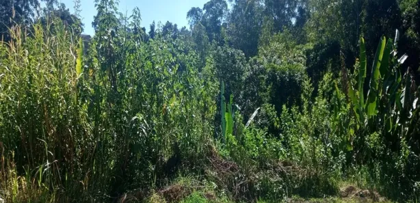Terreno / Lote / Condomínio à venda, 900m² no Barreiro, Mairiporã